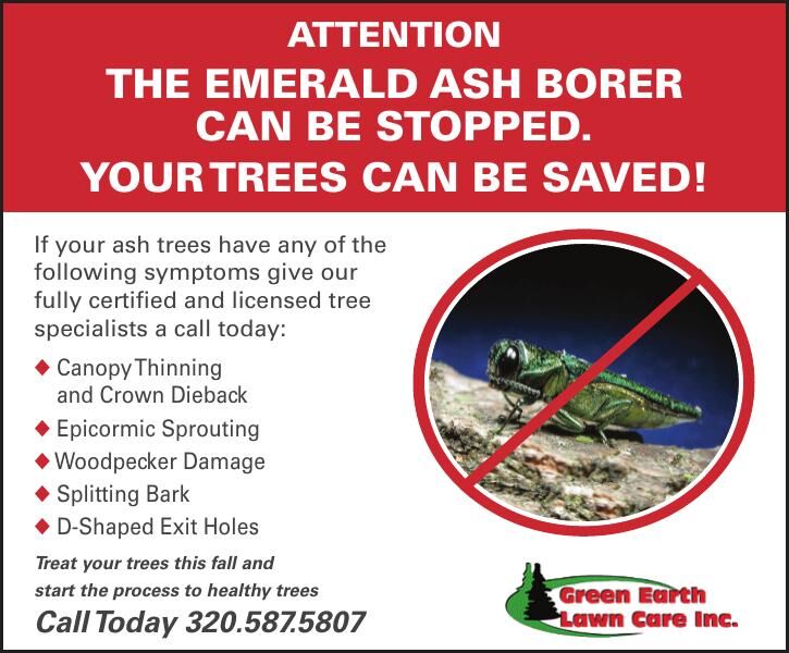 ATTENTION ThE EmErAld Ash BOrEr CAN BE