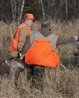 CWD test results available online