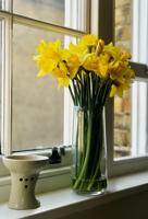Are you ready for spring?