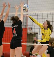 VOLLEYBALL: Eagles soar over Tigers in section quarterfinals