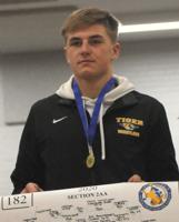 SECTION WRESTLING: Tigers send four to state individual tournament