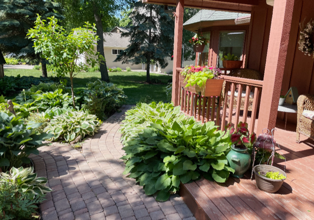 Marlys Anderson hosta garden