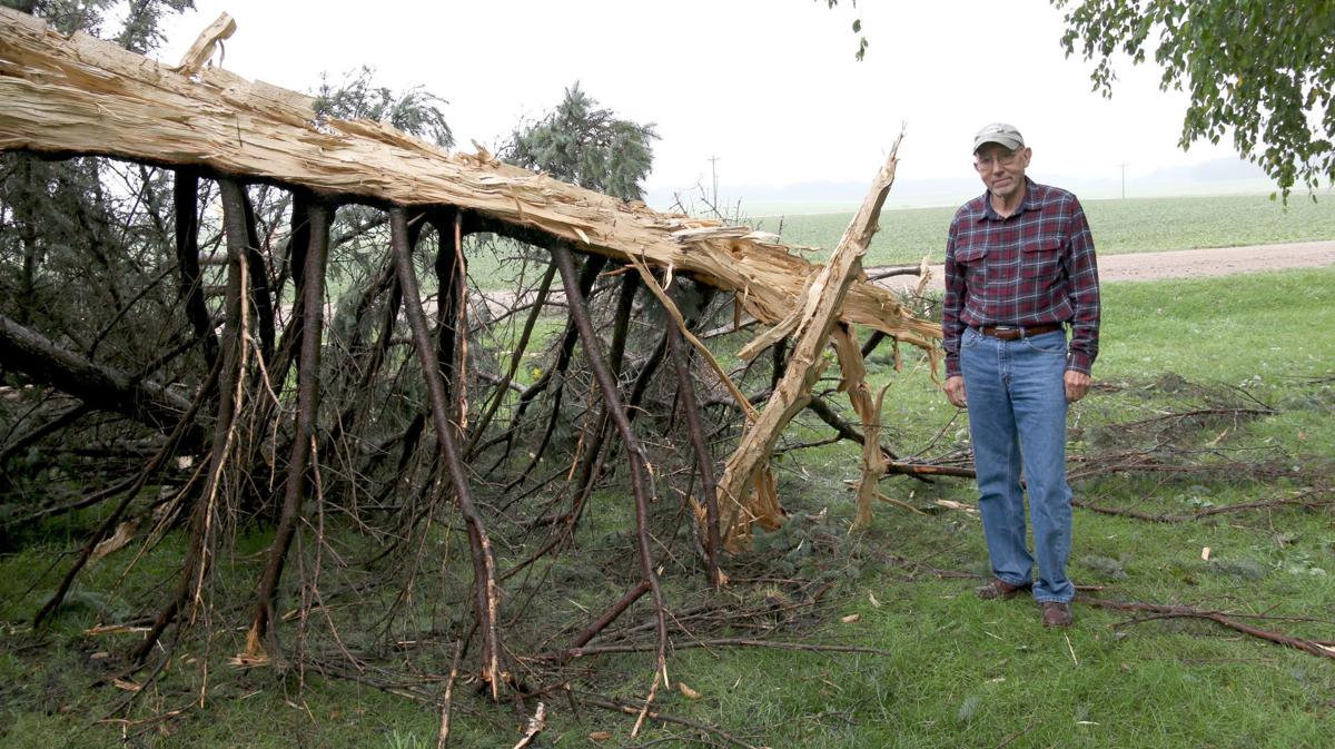 Standing next to his tree