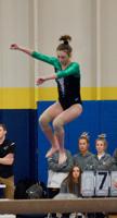 SECTION GYMNASTICS: Dragons finish fifth at sections