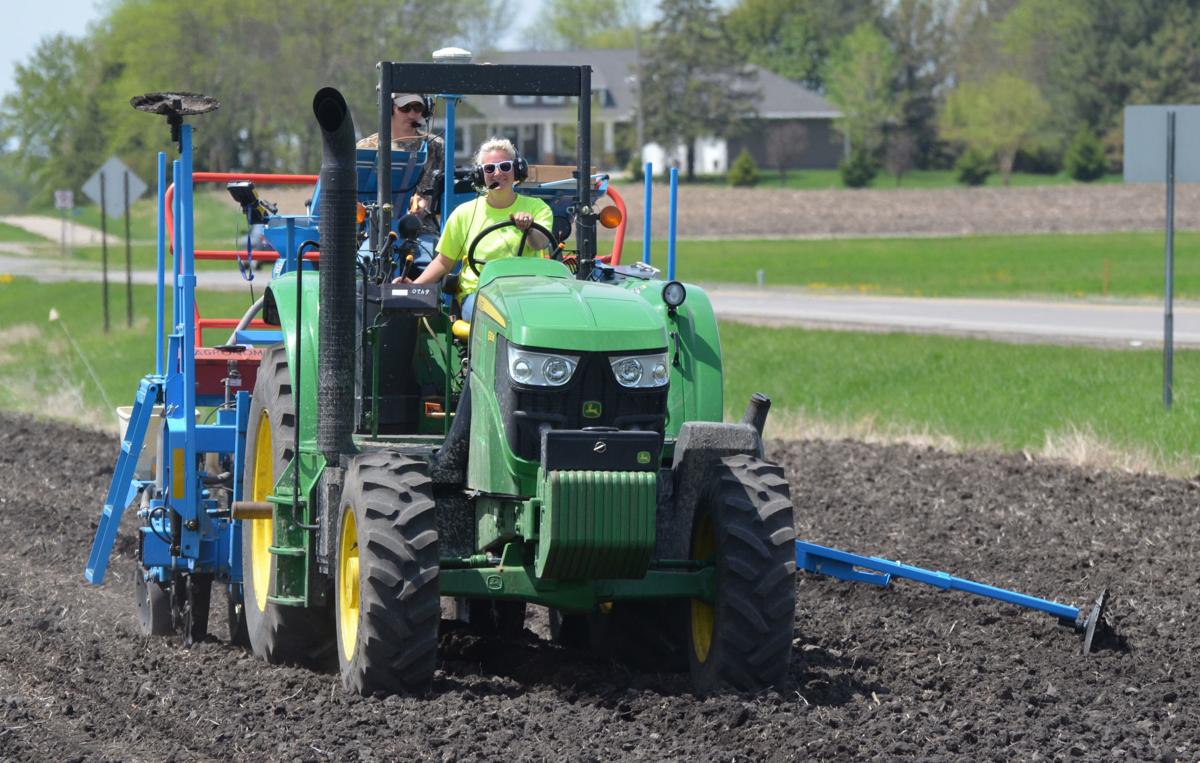 Planting on the FFA plot
