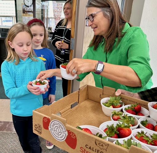 Strawberries to go
