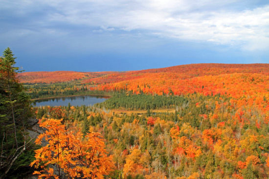 Finland State Forest