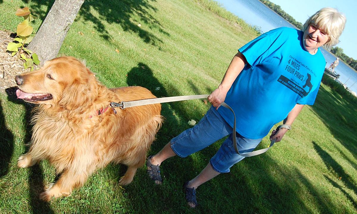 Pet walk - 1