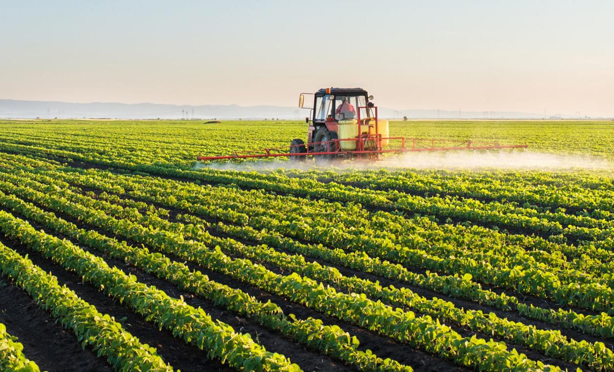 Weed-free field