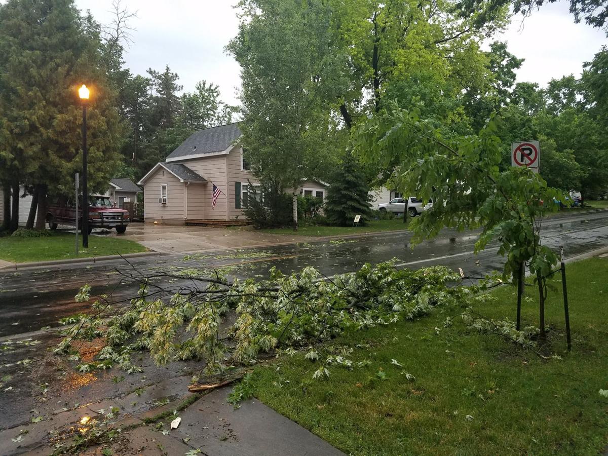 Branches from storm