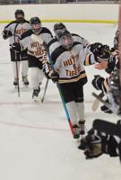 GIRLS HOCKEY: White Hawks clip Tigers in semifinal
