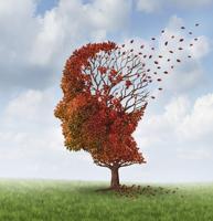 READER LETTER: More funding for Alzheimer's needed