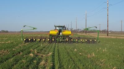 Soil has a sweet tooth