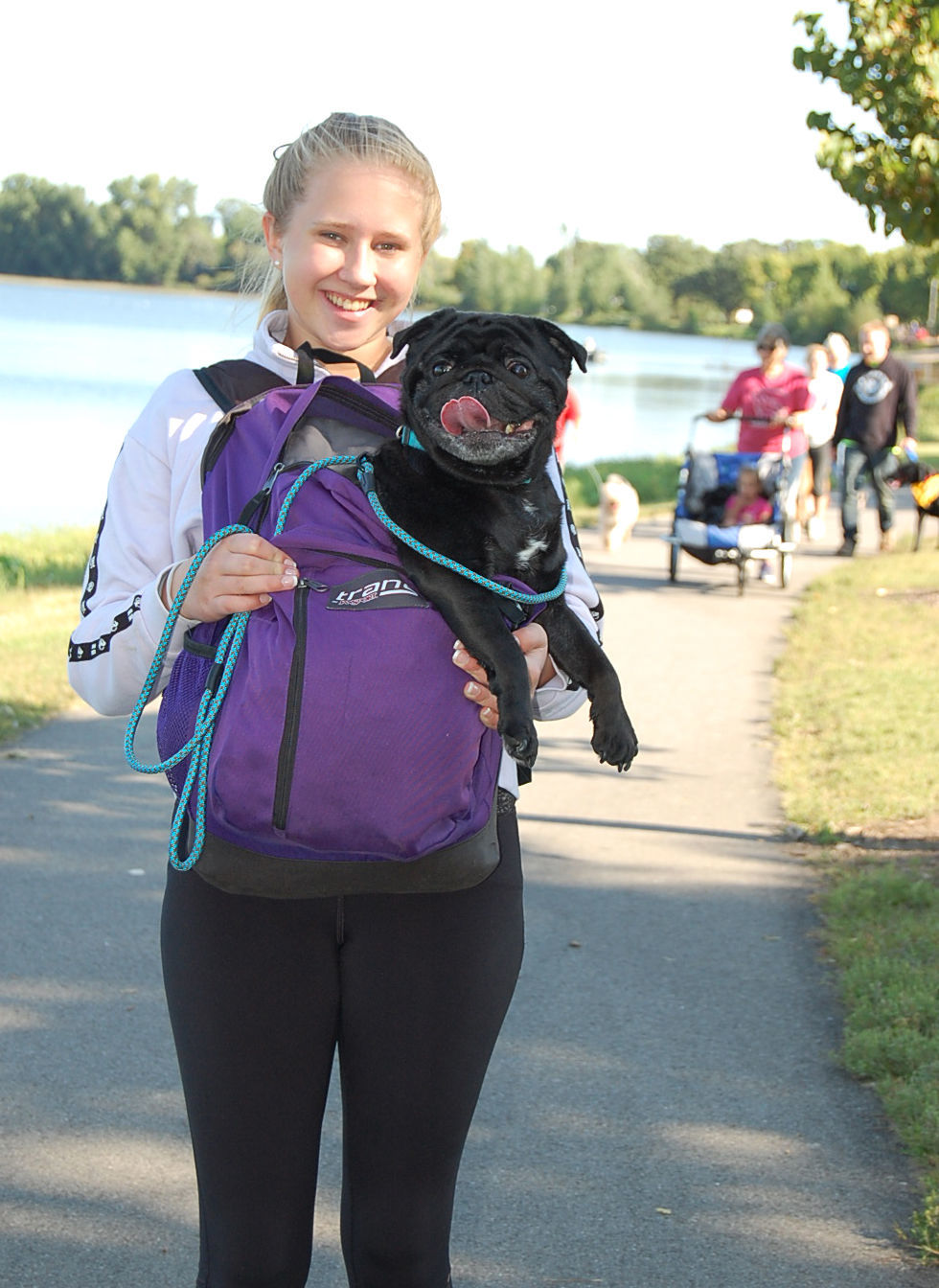 pet walk -5