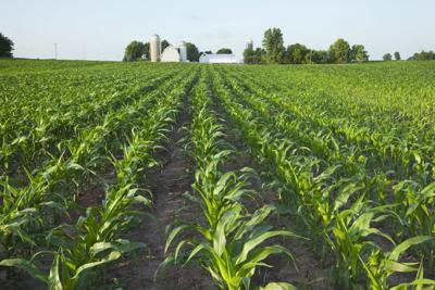 Minnesota farm