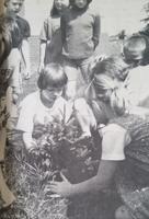 Looking Back at Hutchinson history