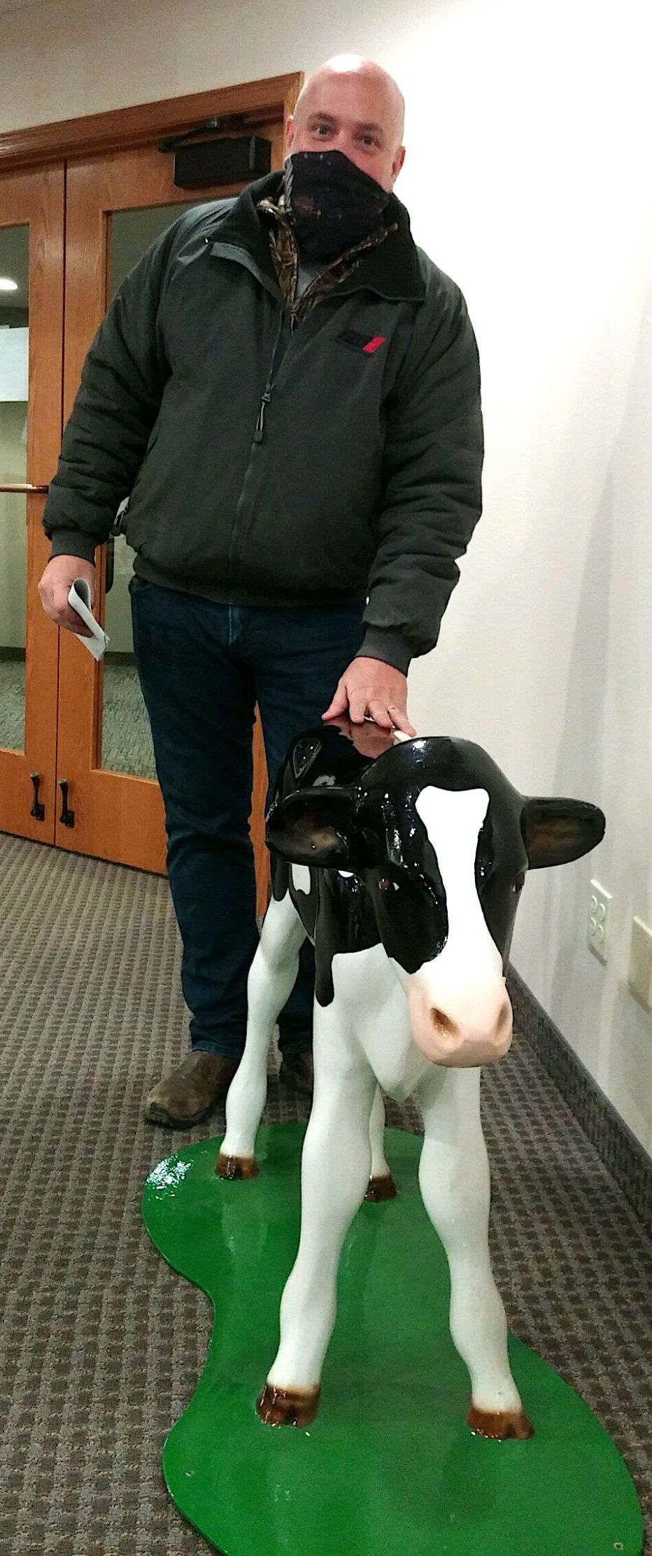 Fiberglass cow