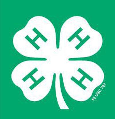 4-H clover