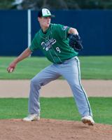 BASEBALL: Litchfield wins section opener