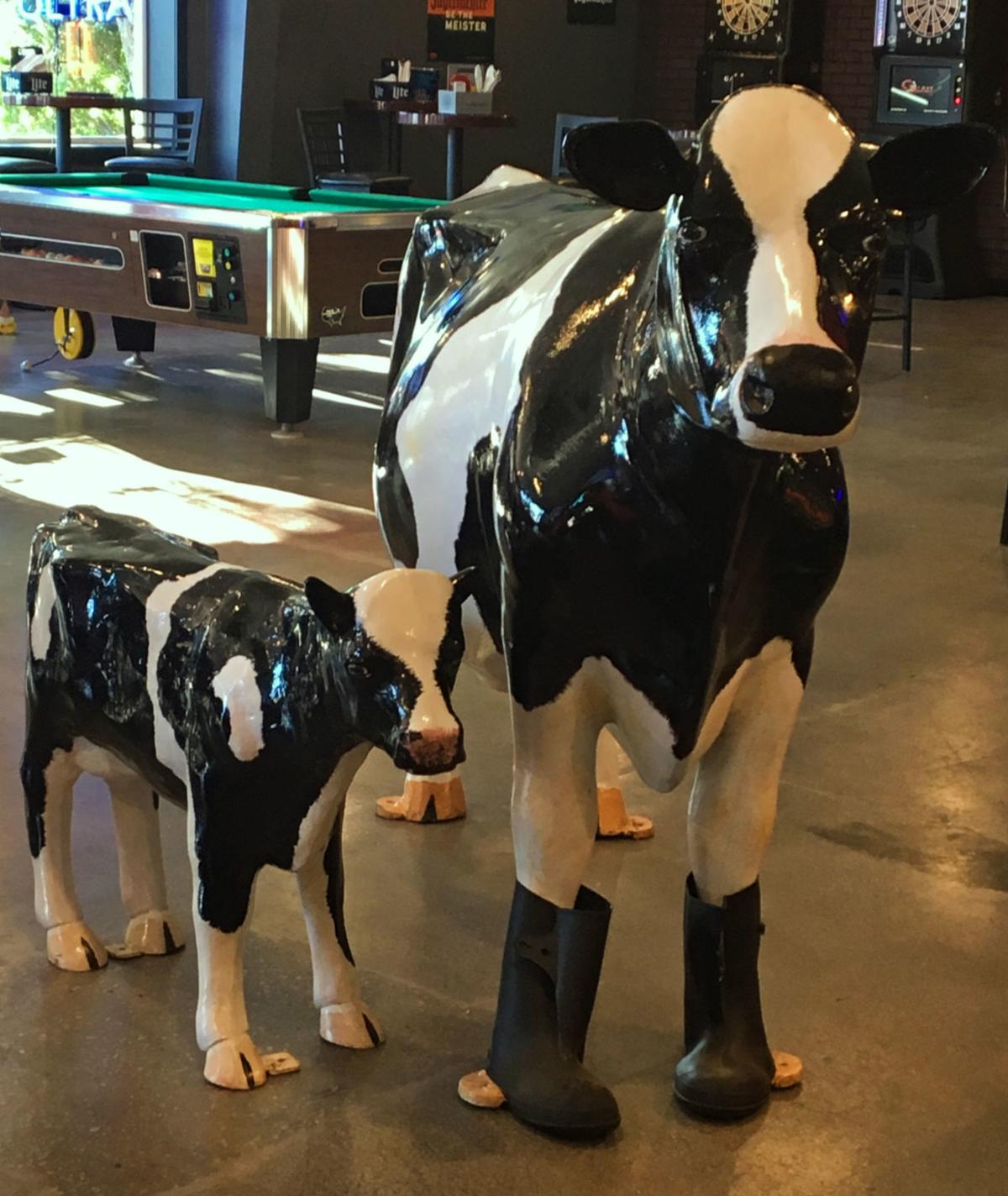 Interior cows