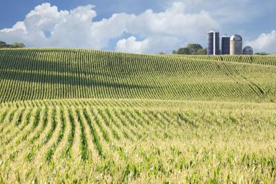 Minnesota farm