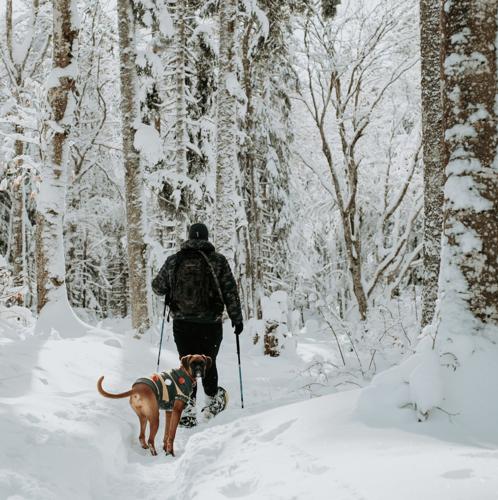 Snowshoeing