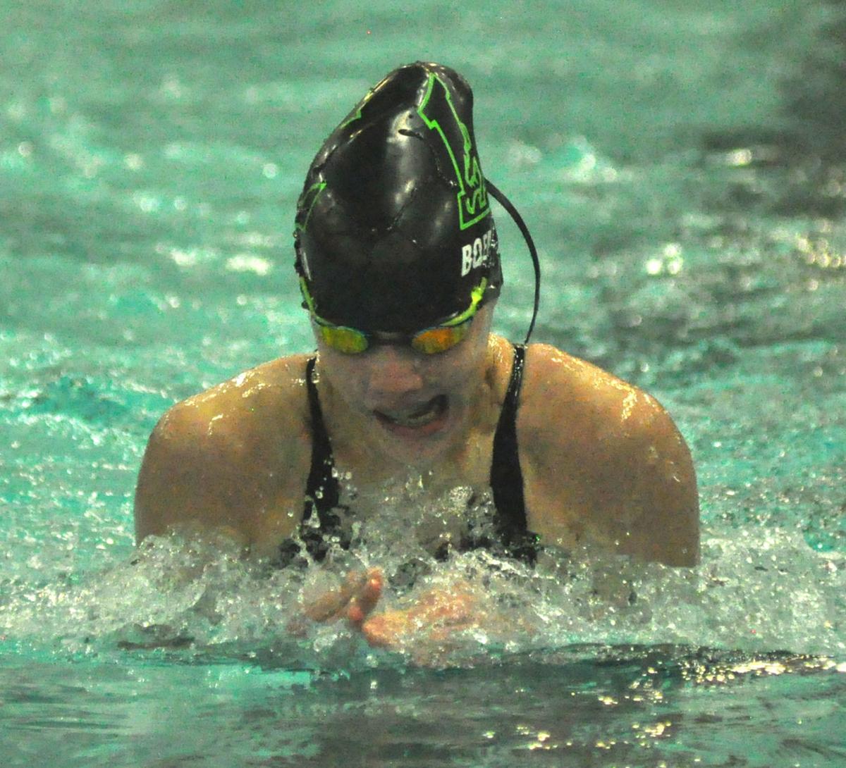 Boerema at sections