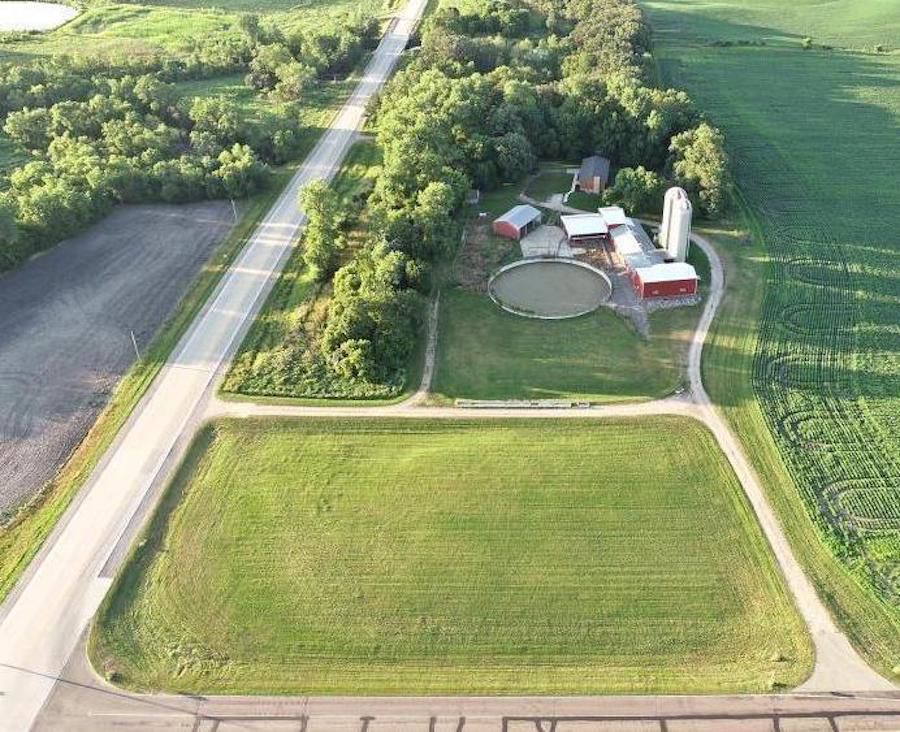 Animal shelter new home