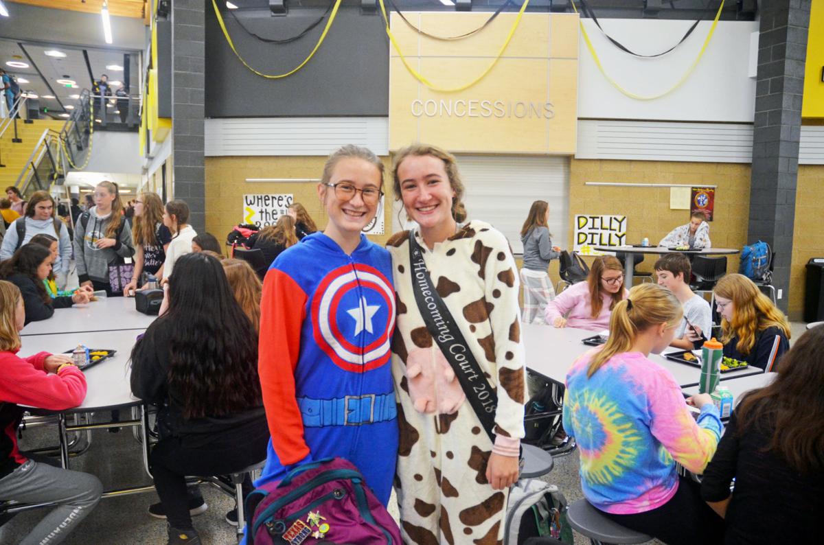 Cap and cow