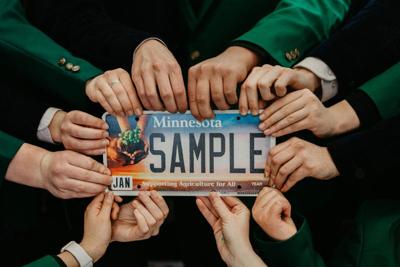 New license plate