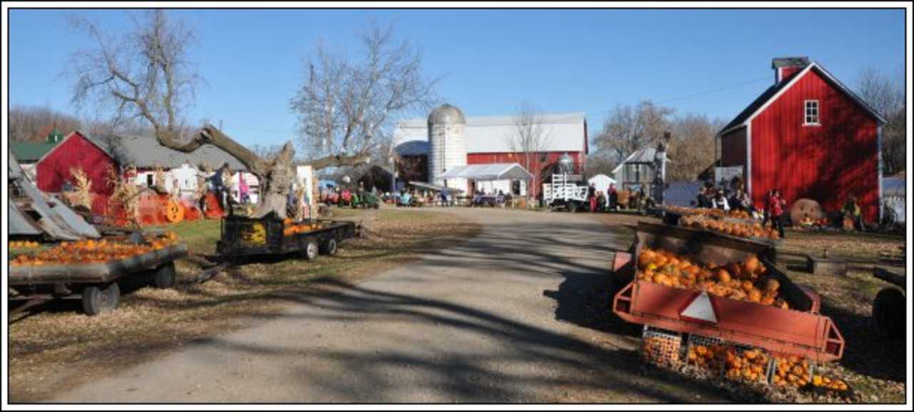 Nelson Farm - Agriculture - Arts and Entertainment in Litchfield MN